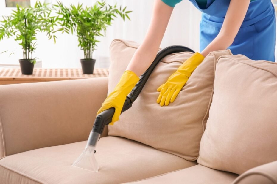 Upholstery cleaner and care label check