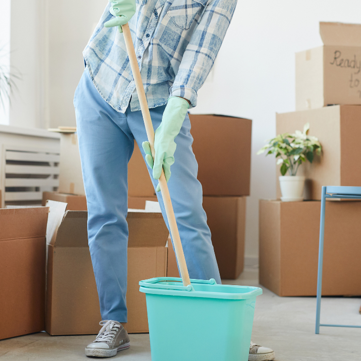 Move-In / Move-Out